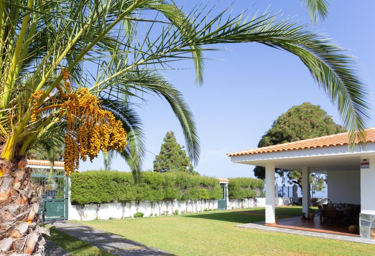 Finca La Vizcondesa Icod De Los Vinos Exterior foto